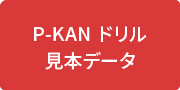 力シリーズ「P-KAN」サンプル